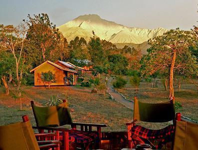 Отель Meru Simba Lodge