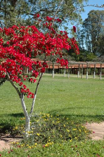 Отель Hotel Fazenda Lagoa da Mata