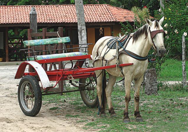 Отель Fazenda Hotel Candeal