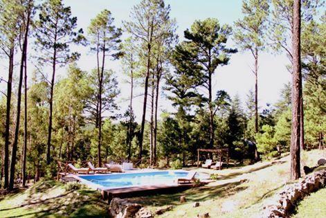 Отель Cabañas Los Arboles