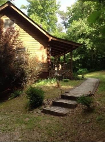Апартаменты Little Big Bear Cabin