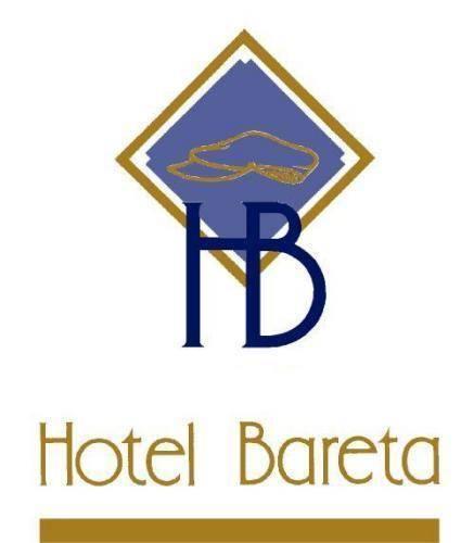 Отель Hotel Bareta