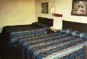 Отель Super 8 Motel - Bowling Greens
