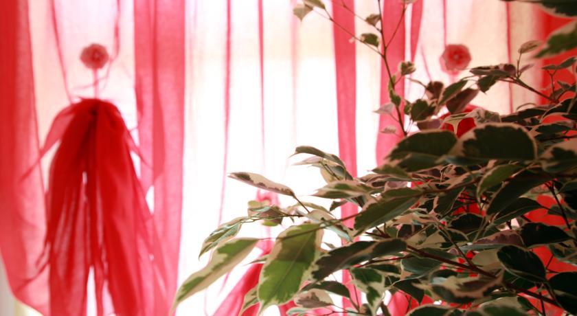 Отель Hotel Venere