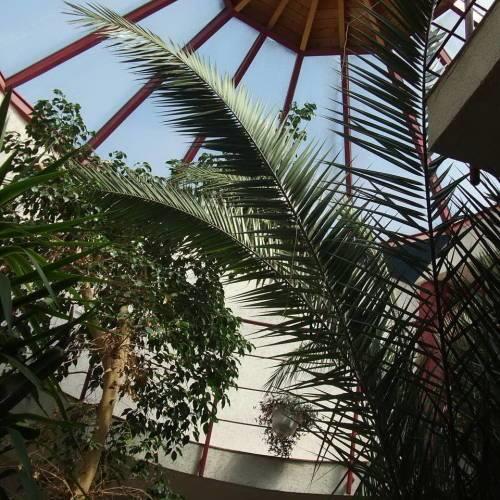 Гостевой дом Guest House Atrium Vendégház