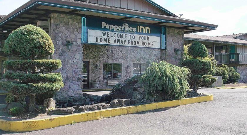 Отель Pepper Tree Inn