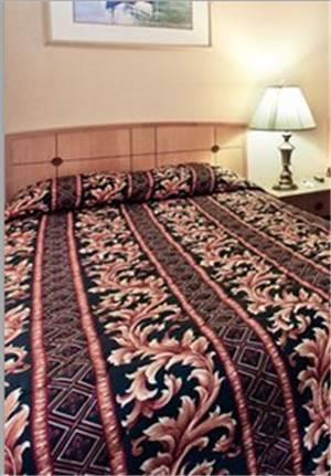 Отель Rodeway Inn Oceanview