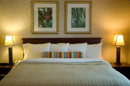 Отель Phoenix Inn Suites Albany