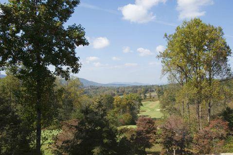 Отель Brasstown Valley Resort