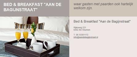 Мини-отель Bed & Breakfast "Aan de Bagijnstraat".