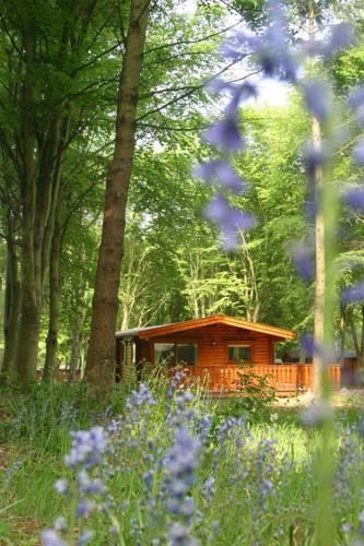 Отель Kenwick Woods