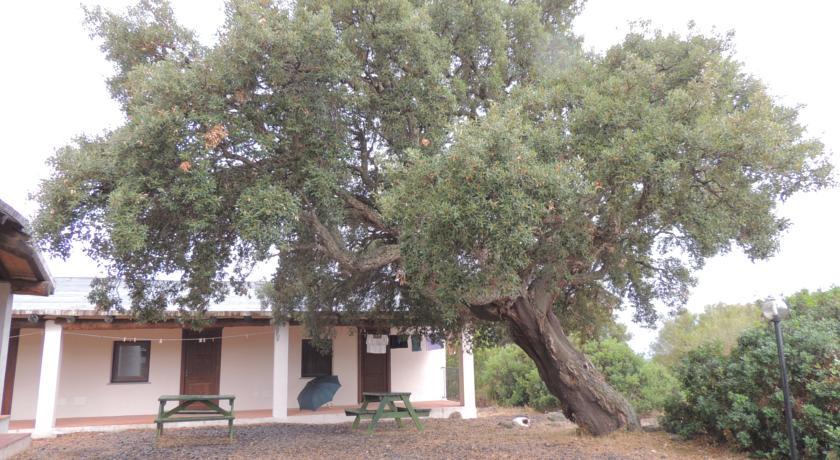 Отель Agriturismo Conca' e Janas