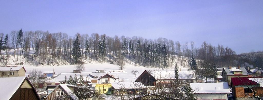 Апартаменты Holiday Home Horni Branna 1