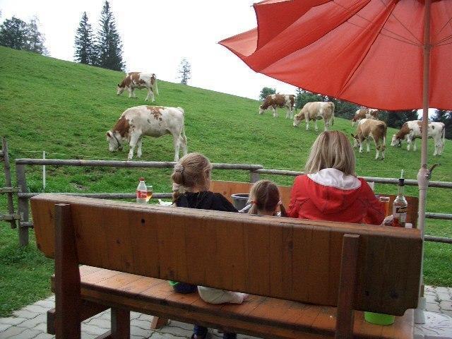 Апартаменты Laikamhütte