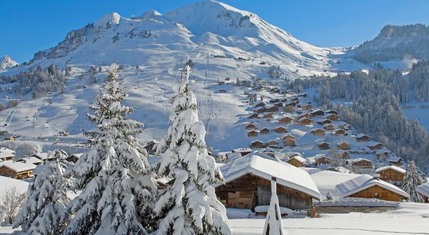 Апартаменты Apartment Grand Bornand 2