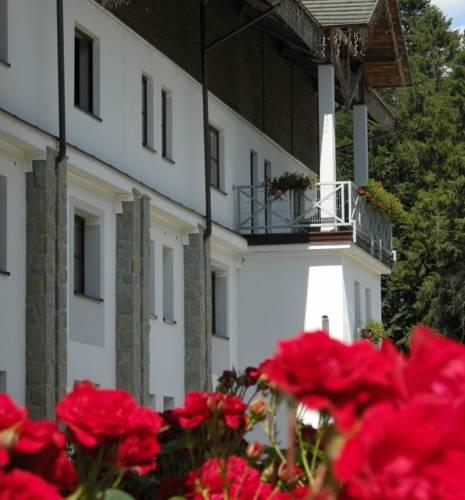 Отель Hotel Jaworzyna Krynicka