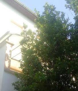 Apartment Mostar