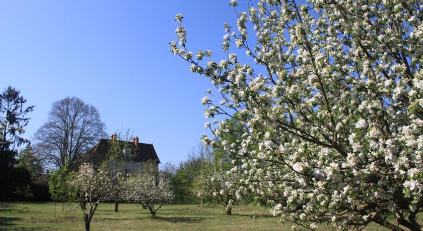 Мини-отель Château des Edelins