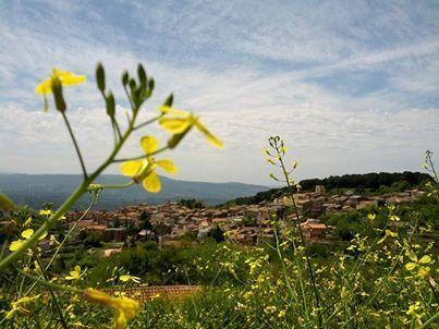 Гостевой дом Albergo Diffuso Il Miglio