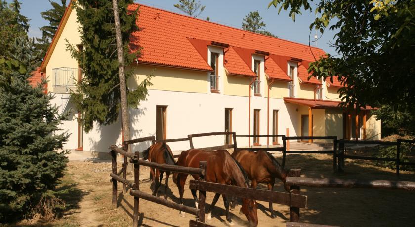 Мини-отель Bólyi Gyógylovas Vendégház