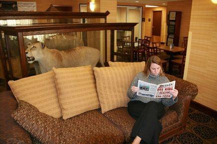 Отель Hampton Inn Oxford, MS