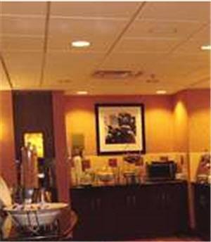 Отель Hampton Inn Owego