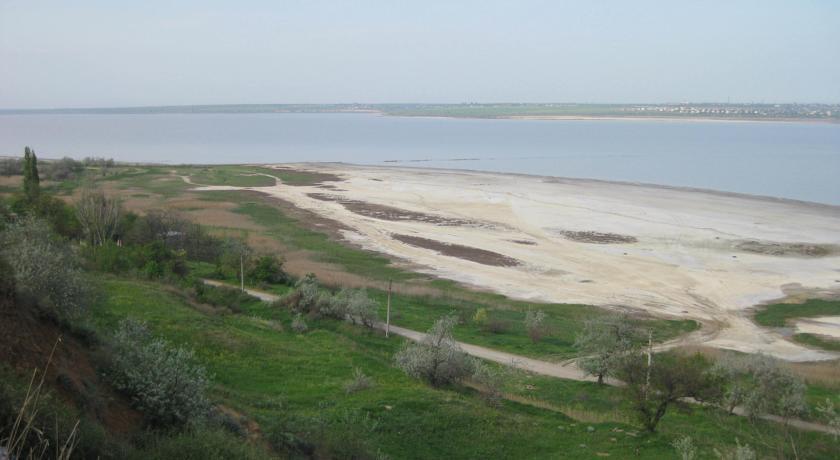 Куяльник