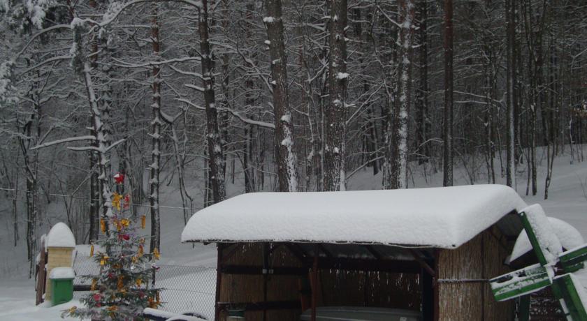 Гостевой дом Guest House in Zabornyje Humny