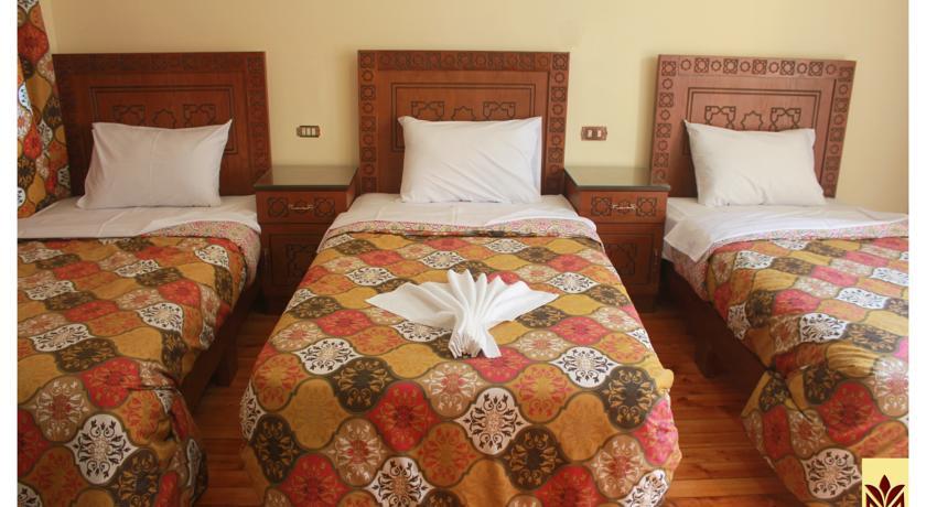New Minerva Hostel
