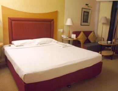 Отель Cama Hotel-Ahmedabad