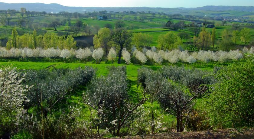 Апартаменты Poggio Neriolo