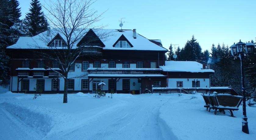 Отель Hotel Lesní Zátiší Vojtěchov