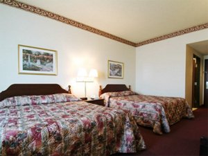 Отель Best Western Executive Inn