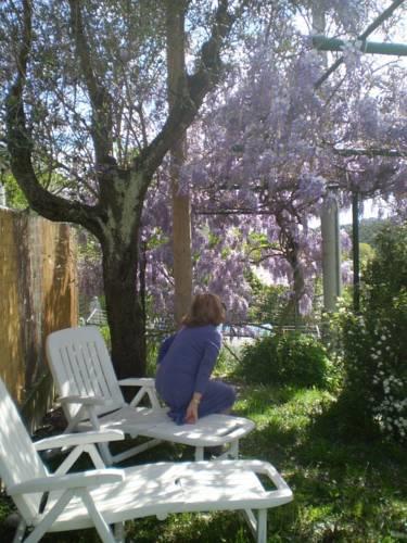 Мини-отель Mamma Isola B & B