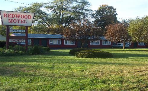 Отель Redwood Motel