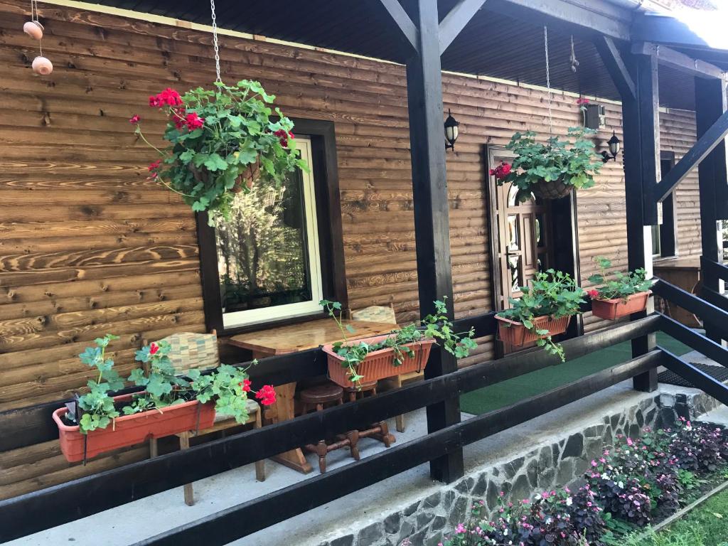 Вилла Pensiunea Eugenia