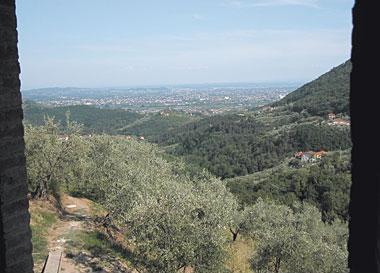 Вилла Holiday Villa in Lucca III