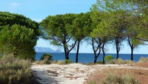 Вилла Villa in Sardinia IV