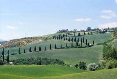 Вилла Villa in Siena Area I