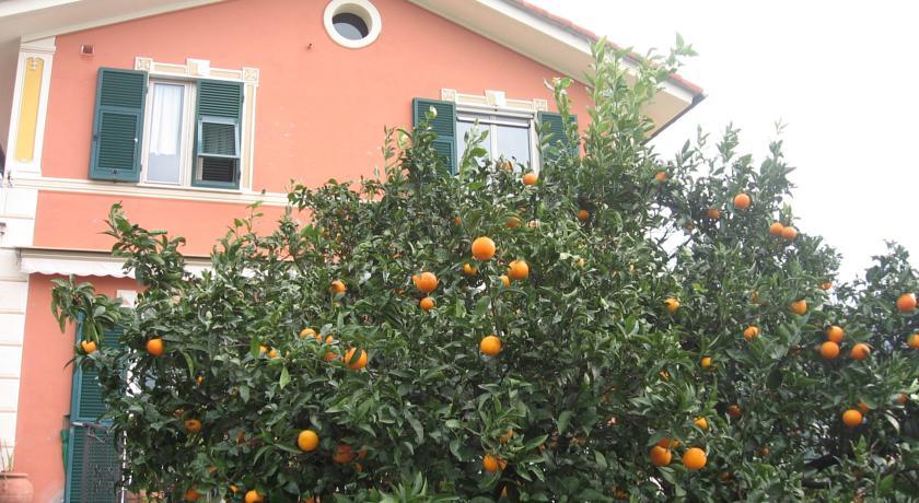 Мини-отель Le Clementine B&B