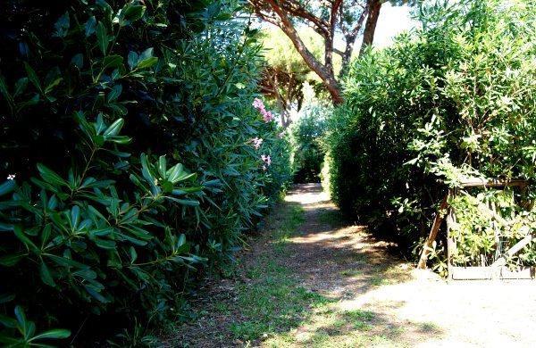 Апартаменты Holiday home Punta Ala *XXXIV *