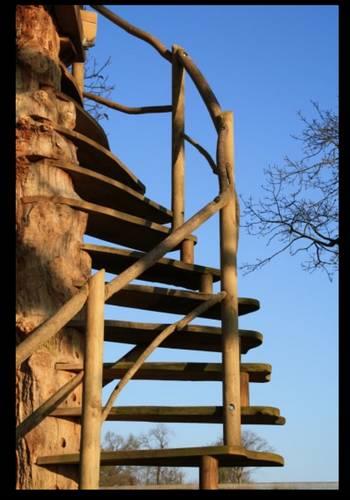 Отель Cabanes dans les Arbres du Manoir de l'Alleu