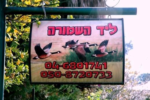 Отель Leyad Hashmura Lodging