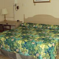 Отель Dixie Plaza Motel