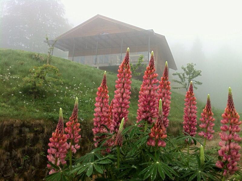Апартаменты Chalet Pogina
