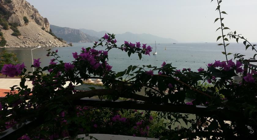 Отель The Diplomat Hotel