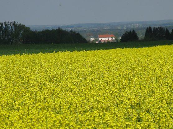 Отель Kurnik Polski