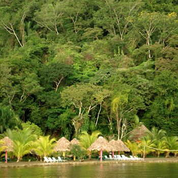 Отель Green Bay Resort