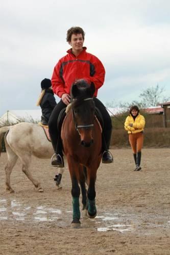 Отель Cavallo Di Fiori - Agriscuderia