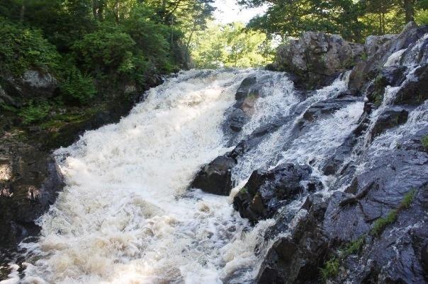 Отель Ogunquit River Inn & Suites